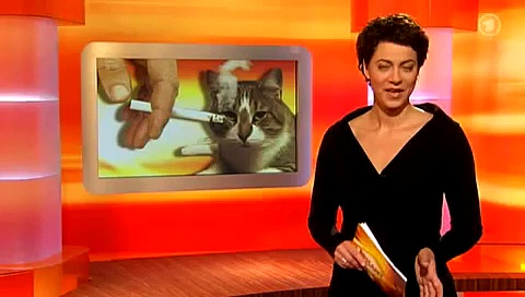 hunde als passivraucher