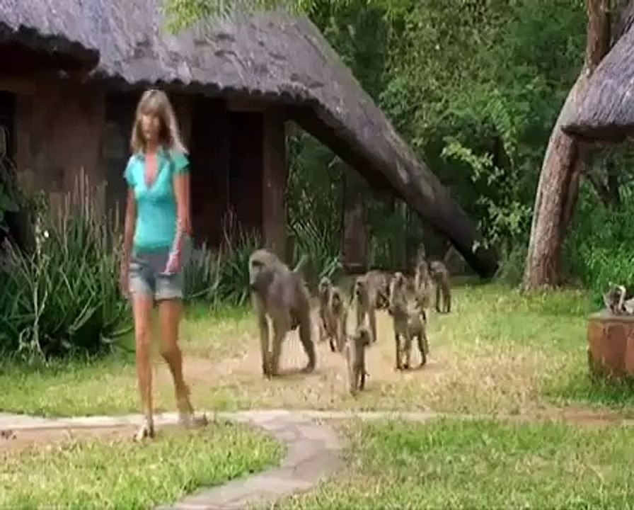 Karen Paolillo with baboons at Hippo Haven in Zimbabwe