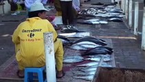 The Barka fish market,  بركاء‎ Oman   سلطنة عمان)