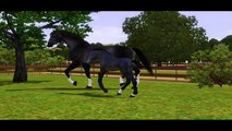 The Sims 3 Horses - New foal