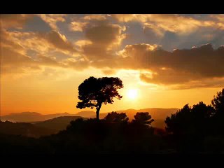 Train - Meet Virginia