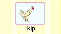 Leer het gebaar voor Kip (Kindergebaren met Lotte&Max)