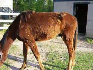 Harlie  --When God made you