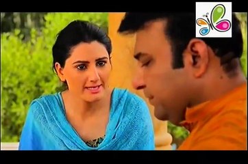 Behnain Aisi Bhi Hoti Hain Episode 260 Full - 14 July 2015 On ARY Zindagi