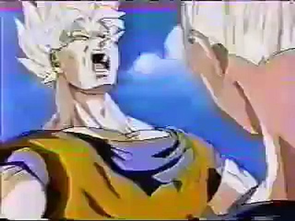 Goku vs. Vegeta