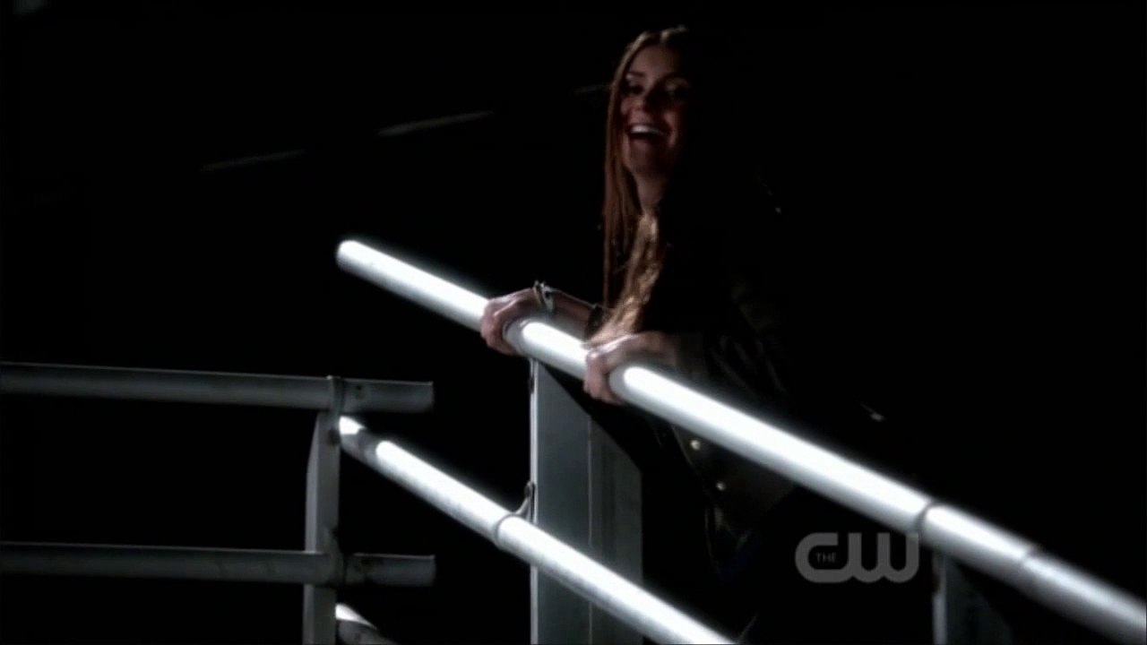 Vampire Diaries 3x06 - Stefan Saves Elena From Falling