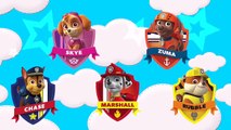 Paw Patrol Cartoon Animated Daddy Finger Family Song   Kids Rhymes, Nursery Songs for Chil