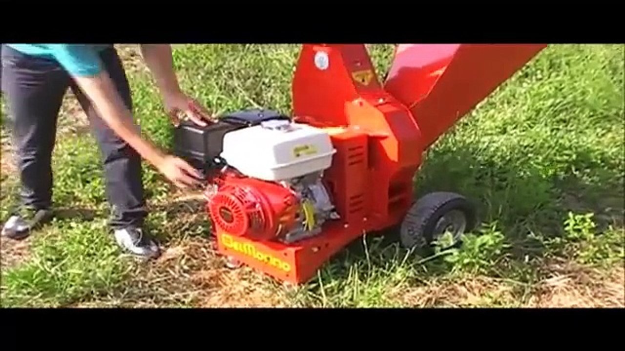 Holzhäcksler, Häcksler Modell Del Morino Scutum mit Honda - Motor