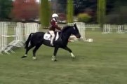 horse bucking mid-air over jump