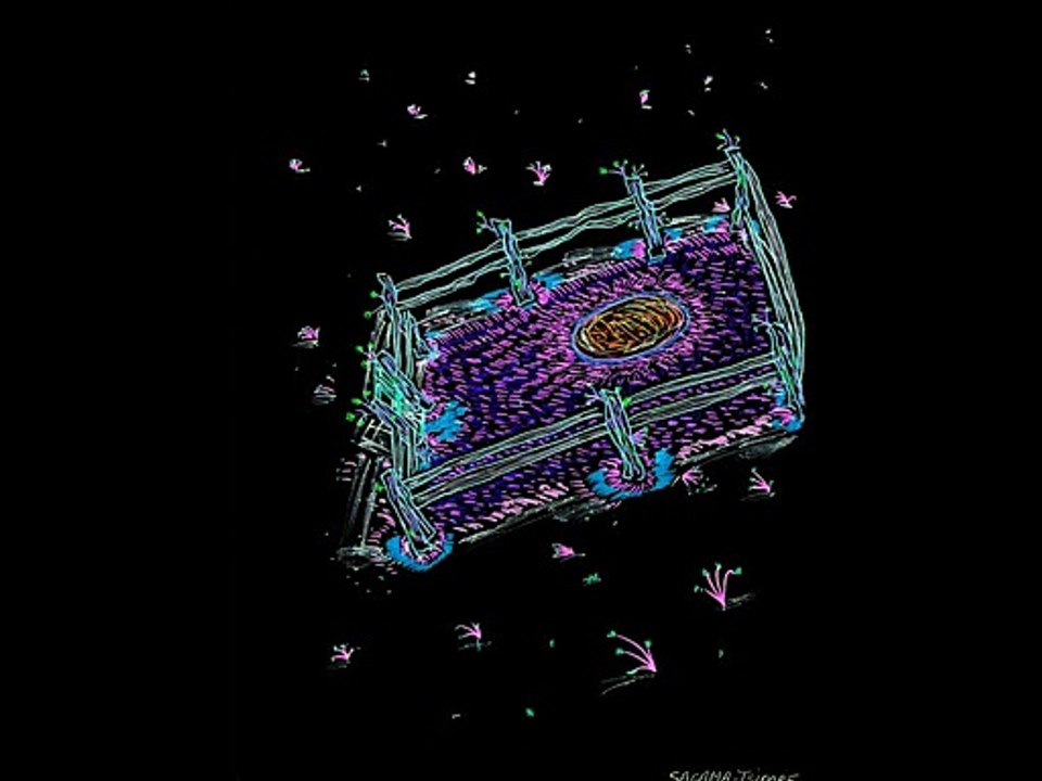 Le chantier de Muse démarre au pied du centre Pompidou ...