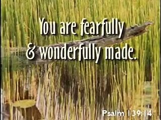 Father's Love Letter