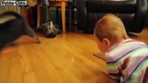 Funny videos Animals   Babies   Best Of Babies Laughing Hysterically At Dogs And Cats Compilation