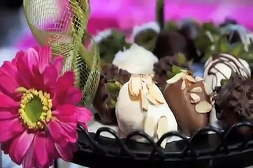 Spring Fling Gala 2010 "Best in Show" to benefit the Helen Woodward Animal Center