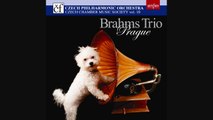 Johannes Brahms - Trio in E flat Major, op. 40 for violin, horn and piano
