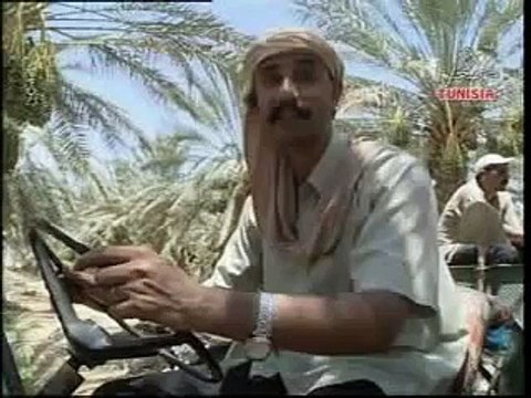 أروع كاميرا خفية تونسية لحمادي غوار : صفة النخل هههه