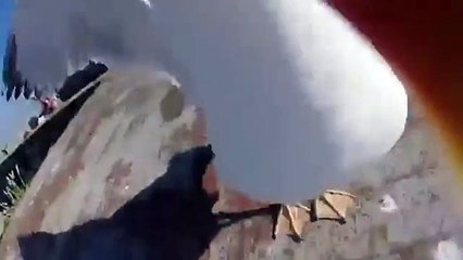 Vea cómo una gaviota se robó una cámara GoPro
