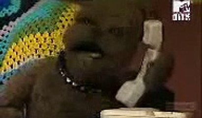 mtv - telefono amico