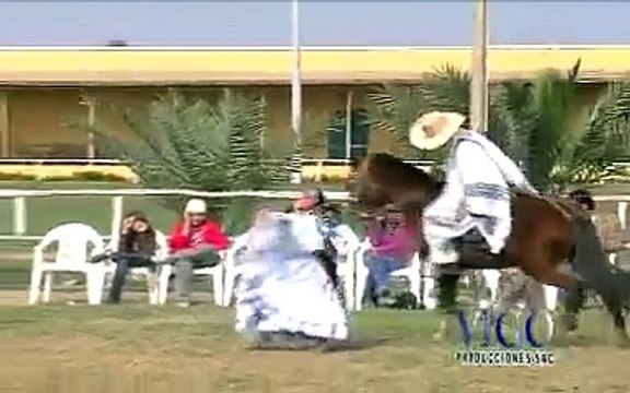 MARINERA PERUANA : LA CENTENARIA Y EL CABALLO DE PASO VIGO PRODUCCIONES