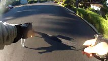 GoPro chest mount harness inline skating with a Jack Russell terrier