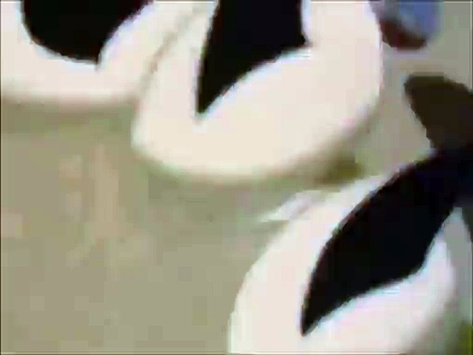 iygiy