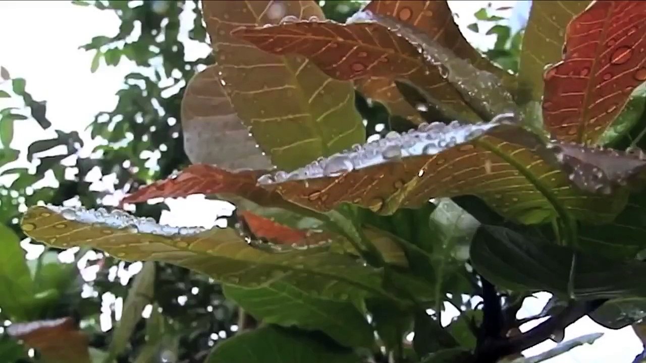 Denuncian fallas en el servicio de agua potable en Costa Rica