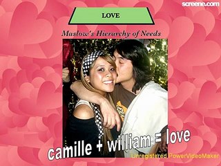 Maslow's Hierarchy By Camille