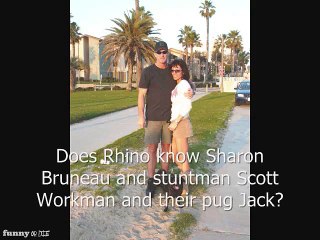 TSUNAMI WARNING live team coverage from Venice Beach