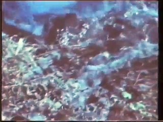 CÓMO EROSIONA, TRANSPORTA Y SEDIMENTA UN RÍO. ACCIÓN GEOLÓGICA DE LOS RÍOS (EA)