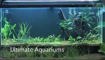 Ultimate Aquariums 55 Planted Tank -- Just planted