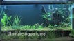 Ultimate Aquariums 55 Planted Tank -- Just planted
