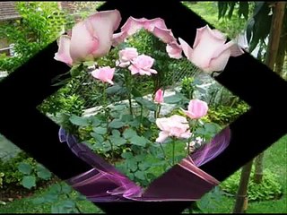 Vida Cigana José Augusto.wmv