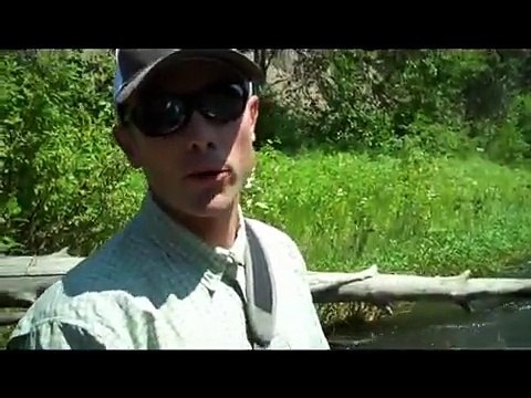 Sage ONE Switch Rod Review and Casting Tips