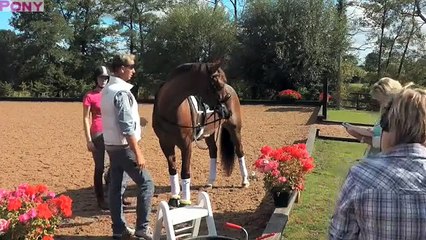 When Nicky Chapman met Carl Hester | PONY Magazine