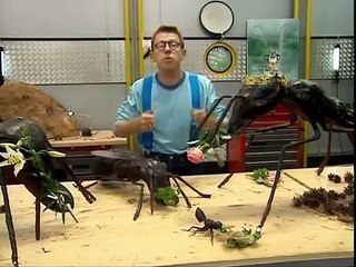 C'Est Pas Sorcier - Fourmis Formidables.avi