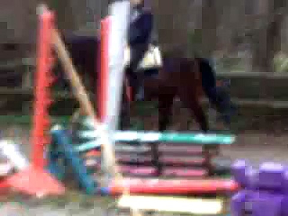 15092012013