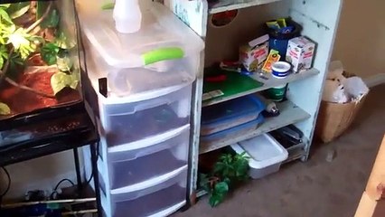 Update on the Reptile Room & Getting a new room!