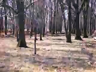 Sandhill Crane, Audio