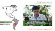 Transgénicos y agroquímicos - 15 años de cultivos en América del sur (1995-2010)