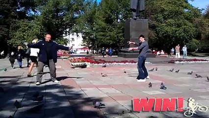 FAIL Blog  Dueling With Pigeons WIN