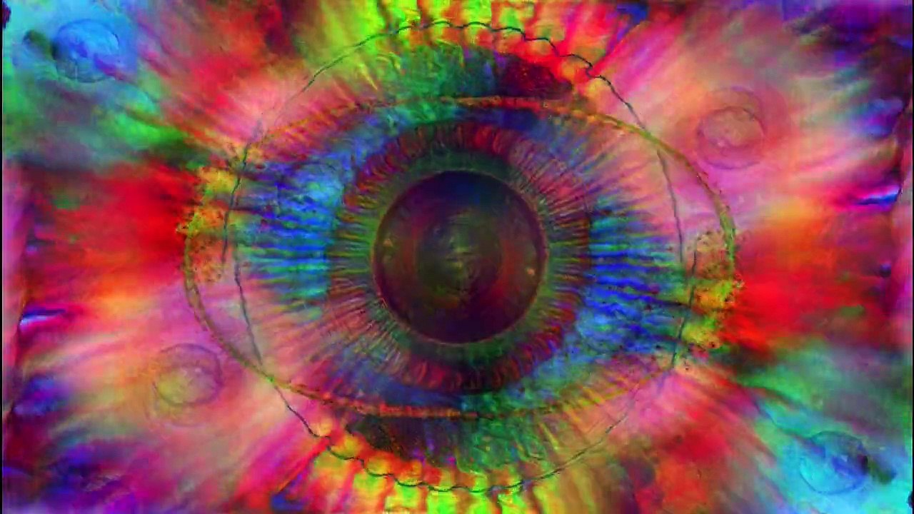 Toni for real - Day 4 Part1