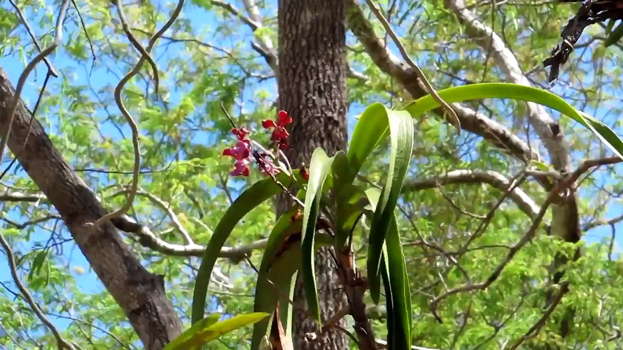 Komodo National Park