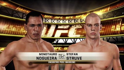 UFC 190 Minotauro Nogueiro vs Stefan "Skyscraper" Struve