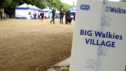 RSPCA BIG Walkies London Harvey Cam