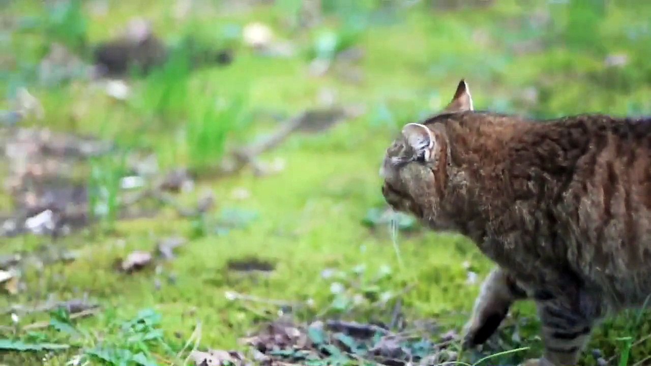 Lumix GH1 ＋ Canon New FD 50mm F1.4---SANKEIEN