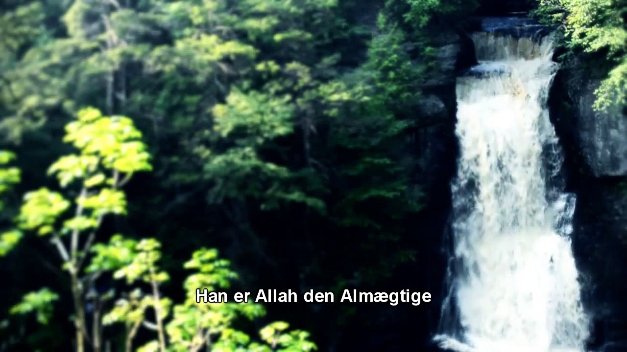 Allah the Almighty