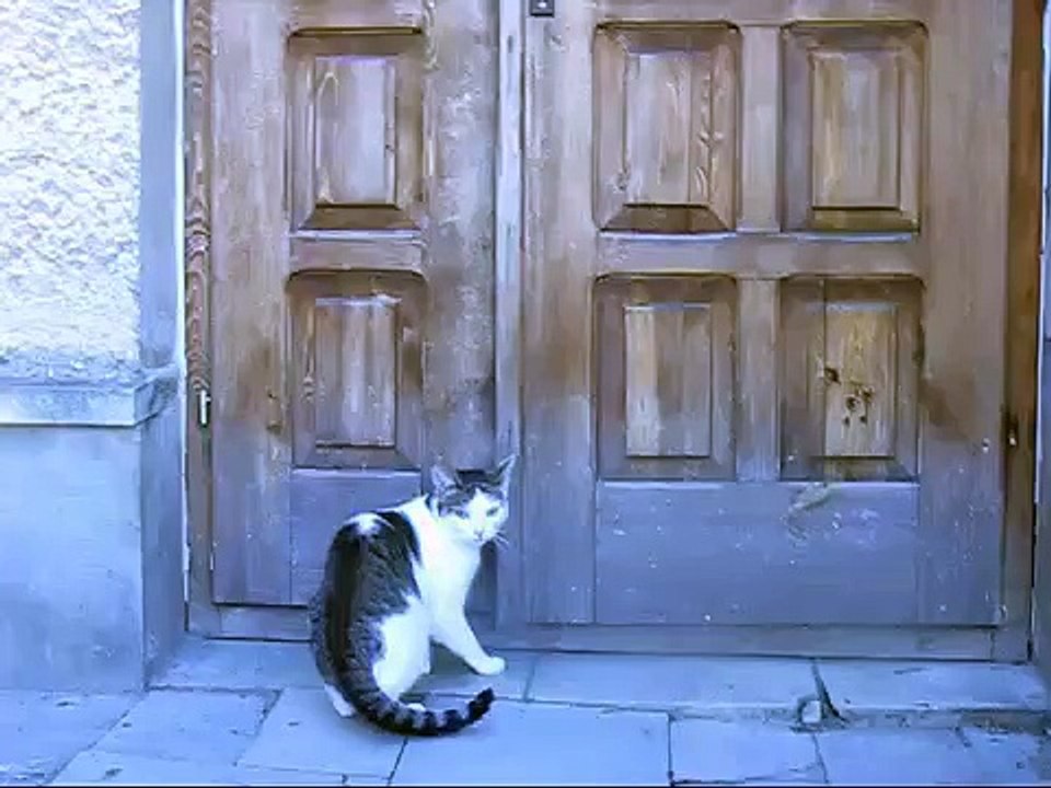 Booodziooooo - jestem hardcorem