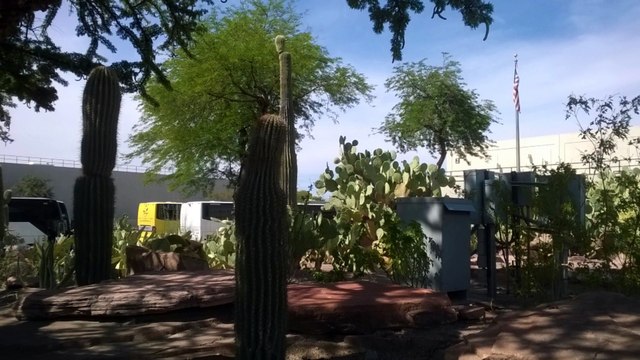 Cactus Gardens, Henderson, Nevada - USA Holidays
