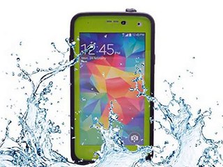 Camping On The Beach In Florida With Dogs