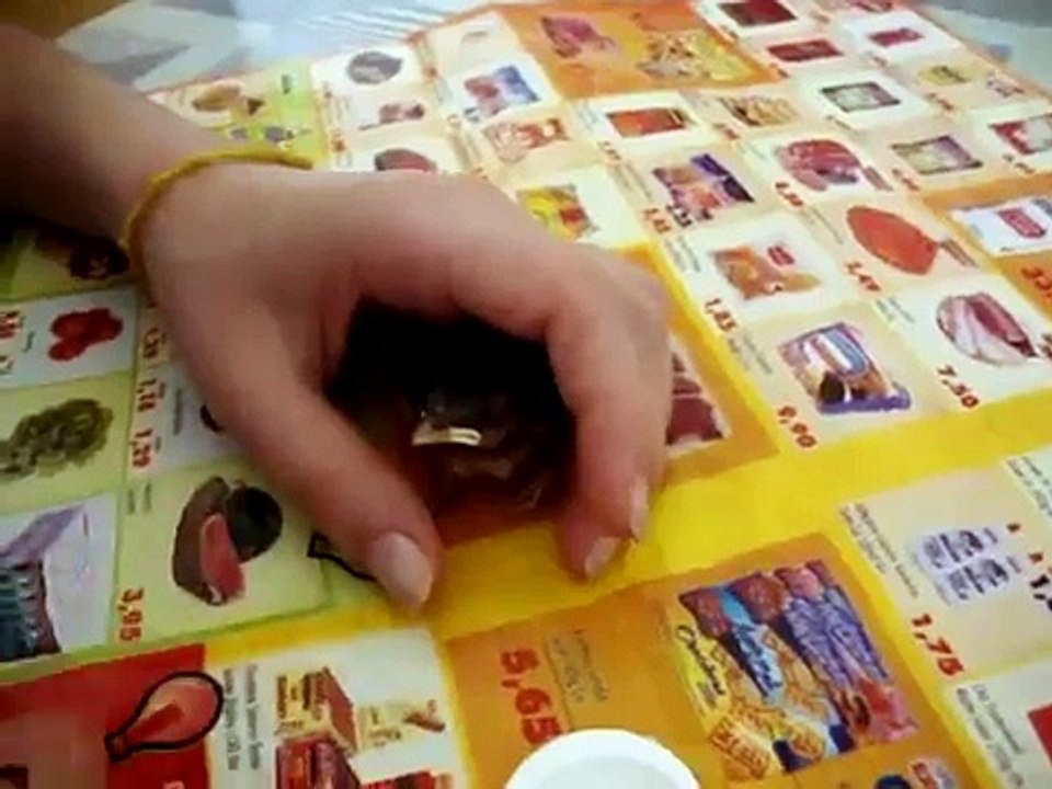 Blog: Há vida dentro do meu quintal - Como alimentar um filhote de pardal