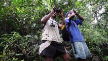 Benefits from Protecting Our Forests - Natewa Tunuloa Important Bird Area, Fiji